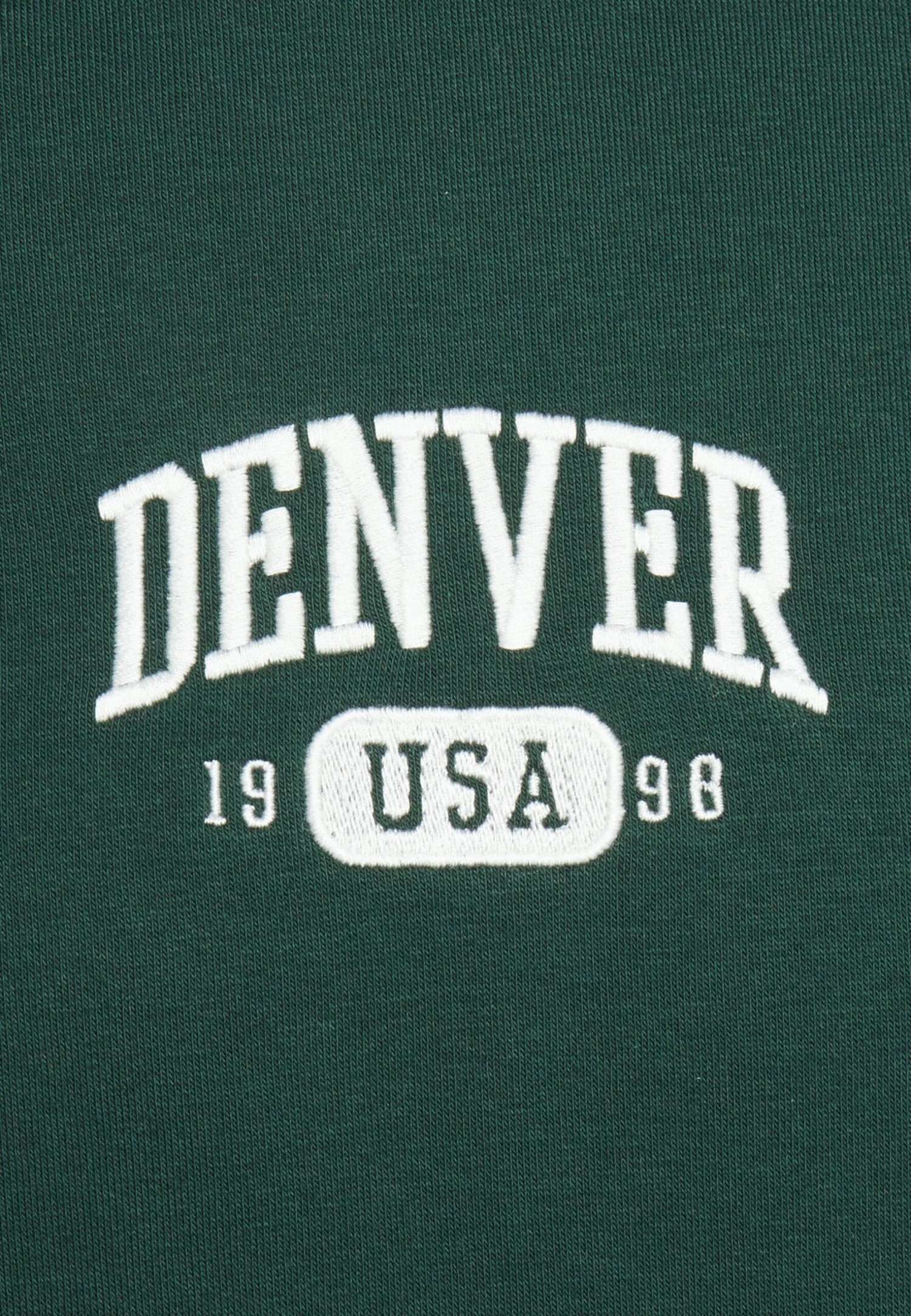 Pier One Denver College Hoodie- Sweater - Green 3 Pier One Denver College Hoodie- Sweater - Green - Afbeelding 3