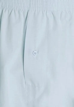 Pier One 5 Pack - Boxershort - Light Blue/White 13 Pier One 5 Pack - Boxershort - Light Blue/White -Pier One Verkoop 8d526a81d413439291c57bcecfa7d443